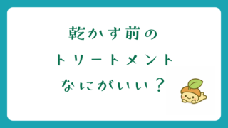 乾かす前のトリートメント、おすすめ教えて。